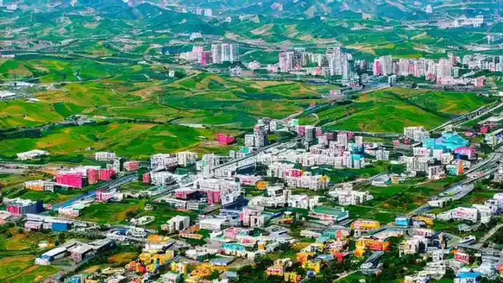 设身处地政策模拟器